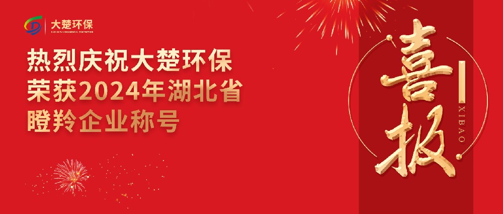 热烈庆祝大楚环保荣获2024年湖北省“瞪羚企业”称号