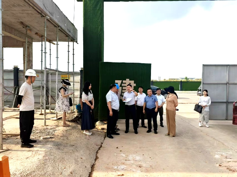 区委常委、政府副区长许祖钢一行调研大楚环保基地建设项目